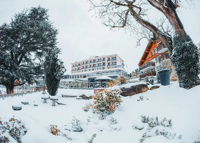 Eden Hotel